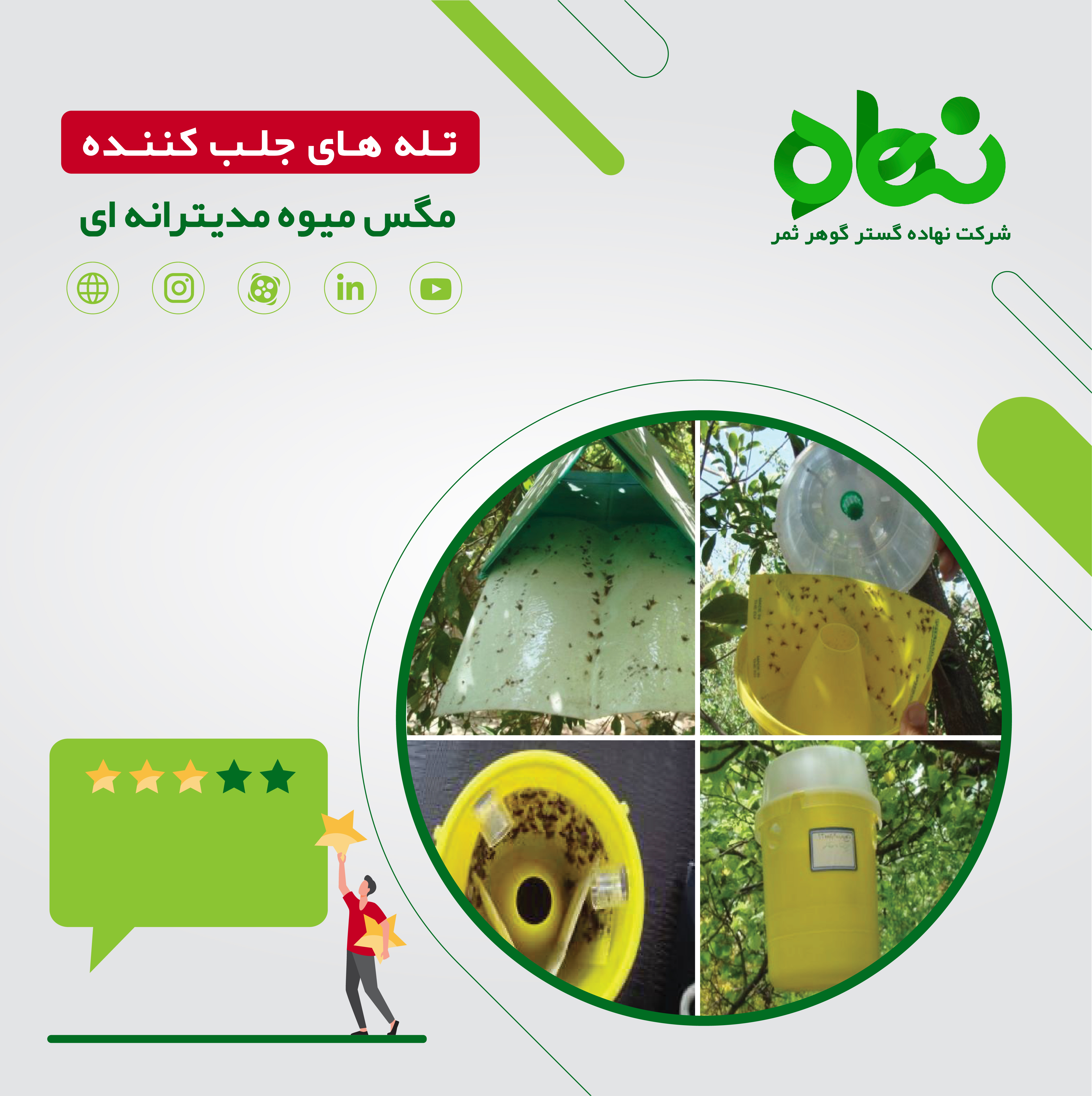 مقایسه انواع تله در جلب مگس میوه مدیترانه ای